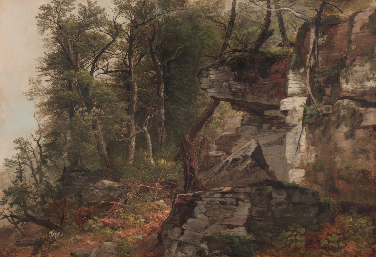 Puut kallioisella rinteellä tekijältä Asher Brown Durand