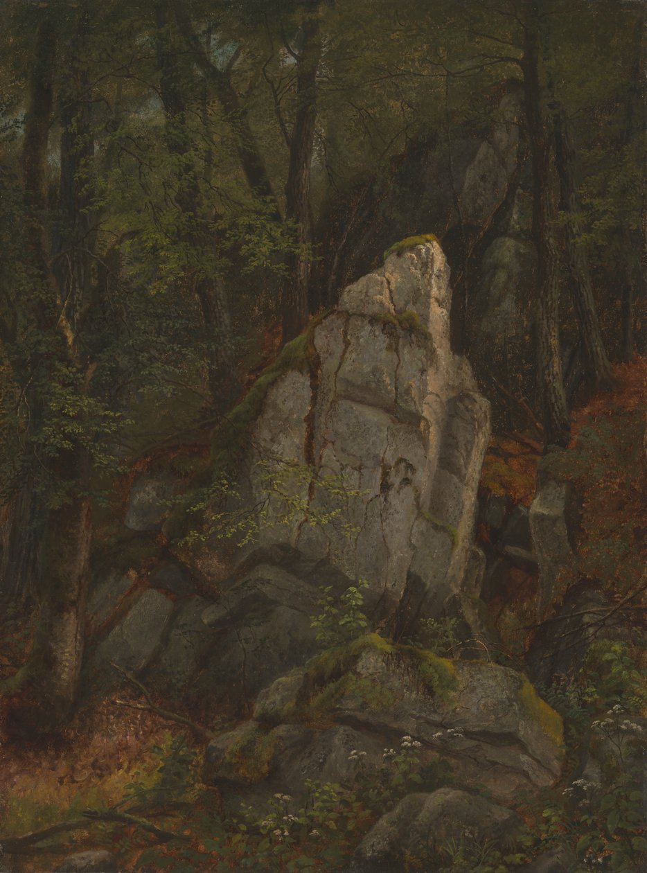 Pearsonin rotkon kivien tutkiminen tekijältä Asher Brown Durand