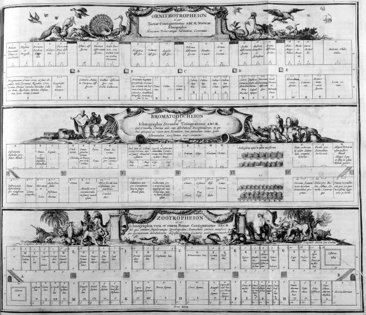 Lajitaulukko, 1765. tekijältä Athanasius Kircher