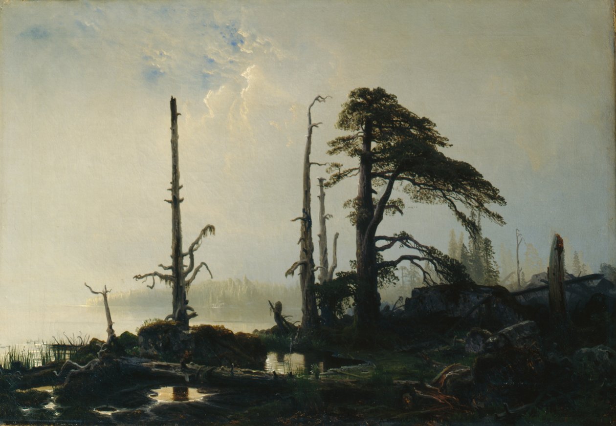 Järvi sumussa (öljy kankaalle) tekijältä August Cappelen