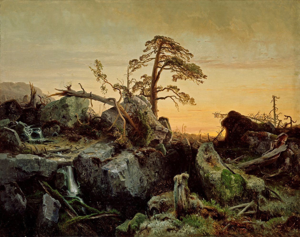 Sterbender Urwald tekijältä August Cappelen