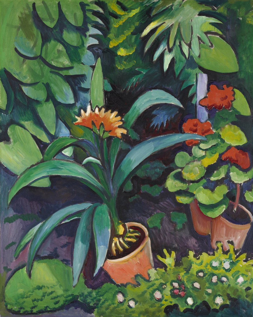 Kukkia puutarhassa, clivia ja pelargonium tekijältä August Macke