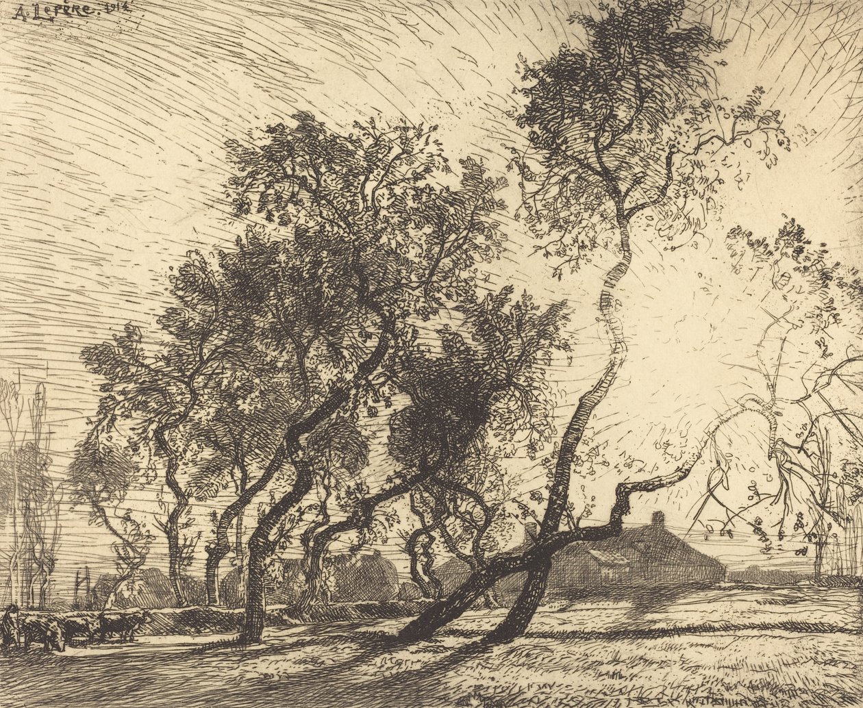 Hollannin poppelifarmi, 1914. tekijältä Auguste Lepere