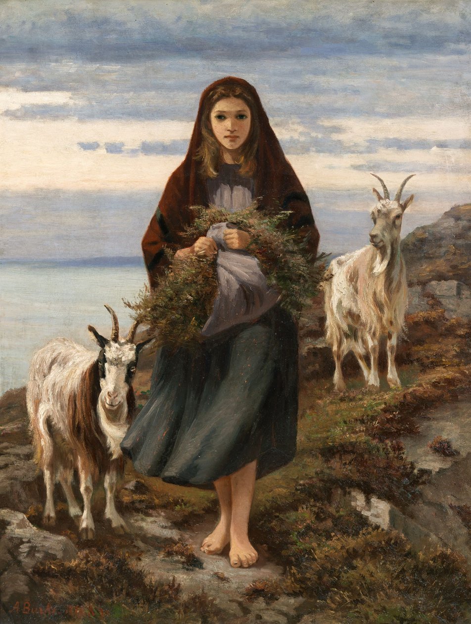Connemara tyttö tekijältä Augustus Nicholas Burke