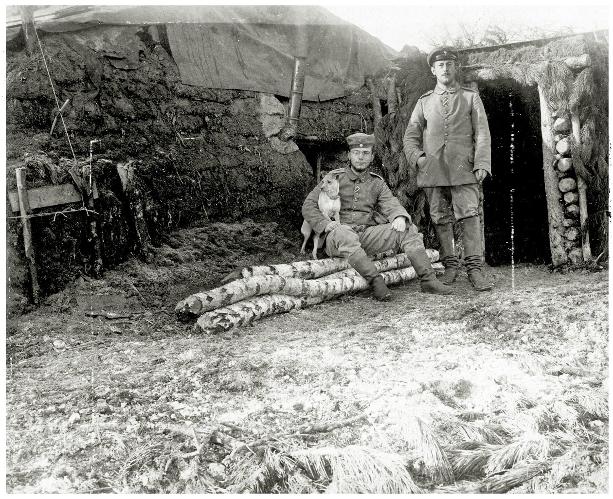 Itävaltalaiset sotilaat koiran kanssa, 1914-18 tekijältä Austrian Photographer