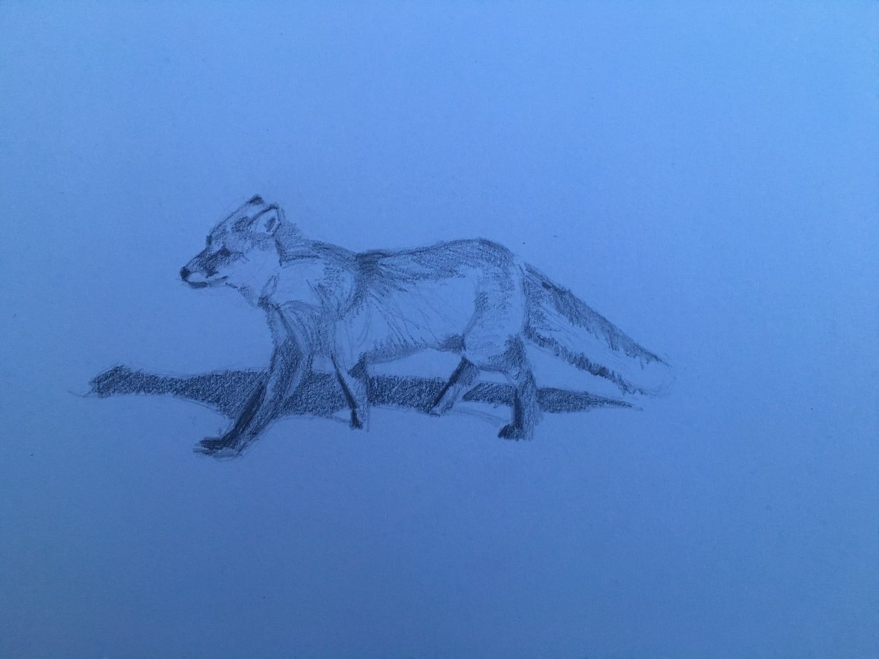 Fox, 2018 tekijältä Barbara Hoogeweegen