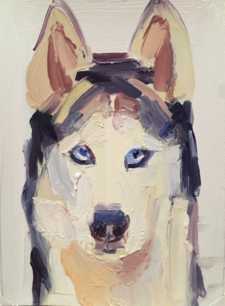 Susi, 2016 tekijältä Barbara Hoogeweegen