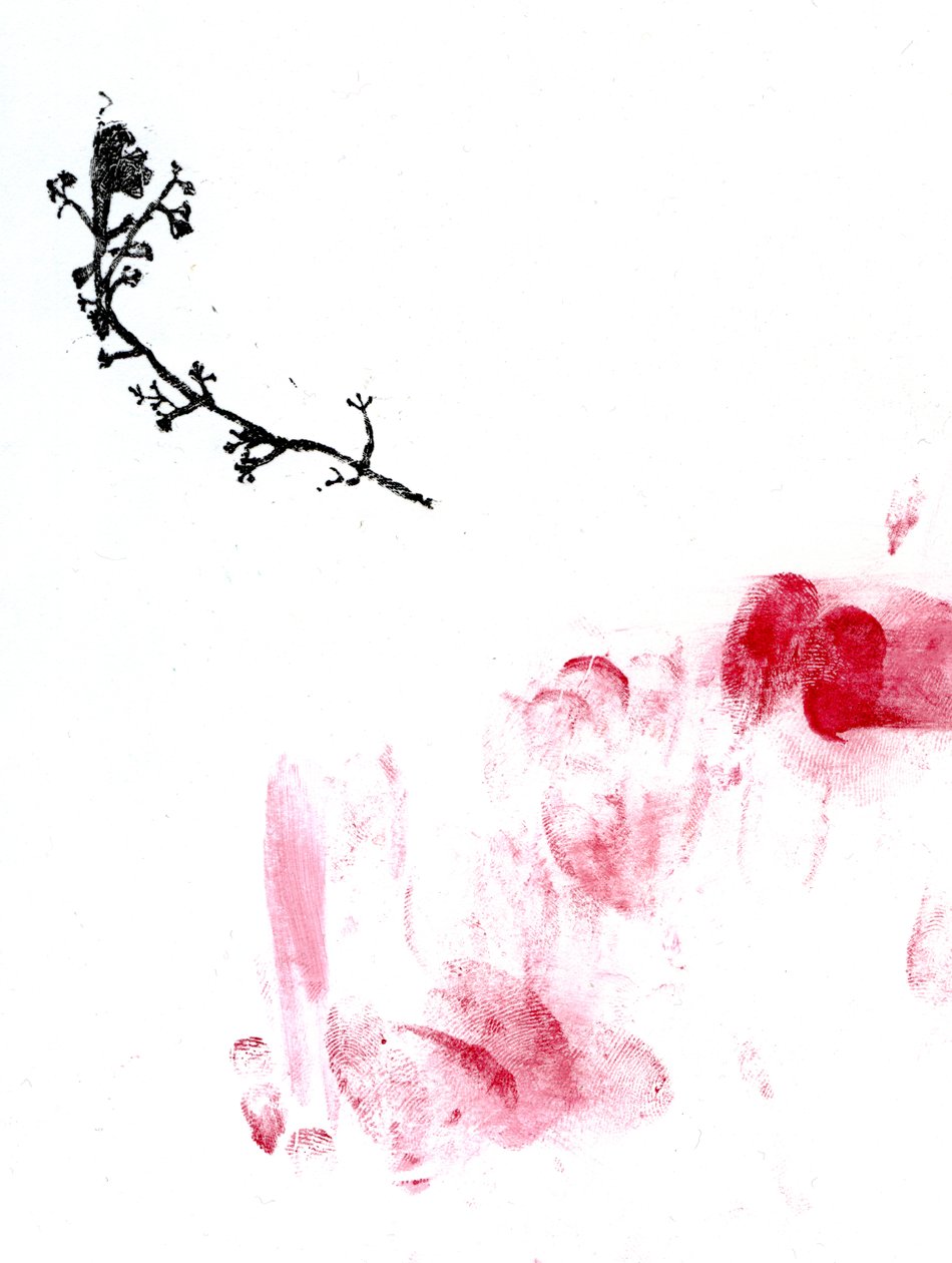 Jäkälä {Fay-erie Dust}, 2014 (puukaiverrus ja vesiväri paperille) tekijältä Bella Larsson