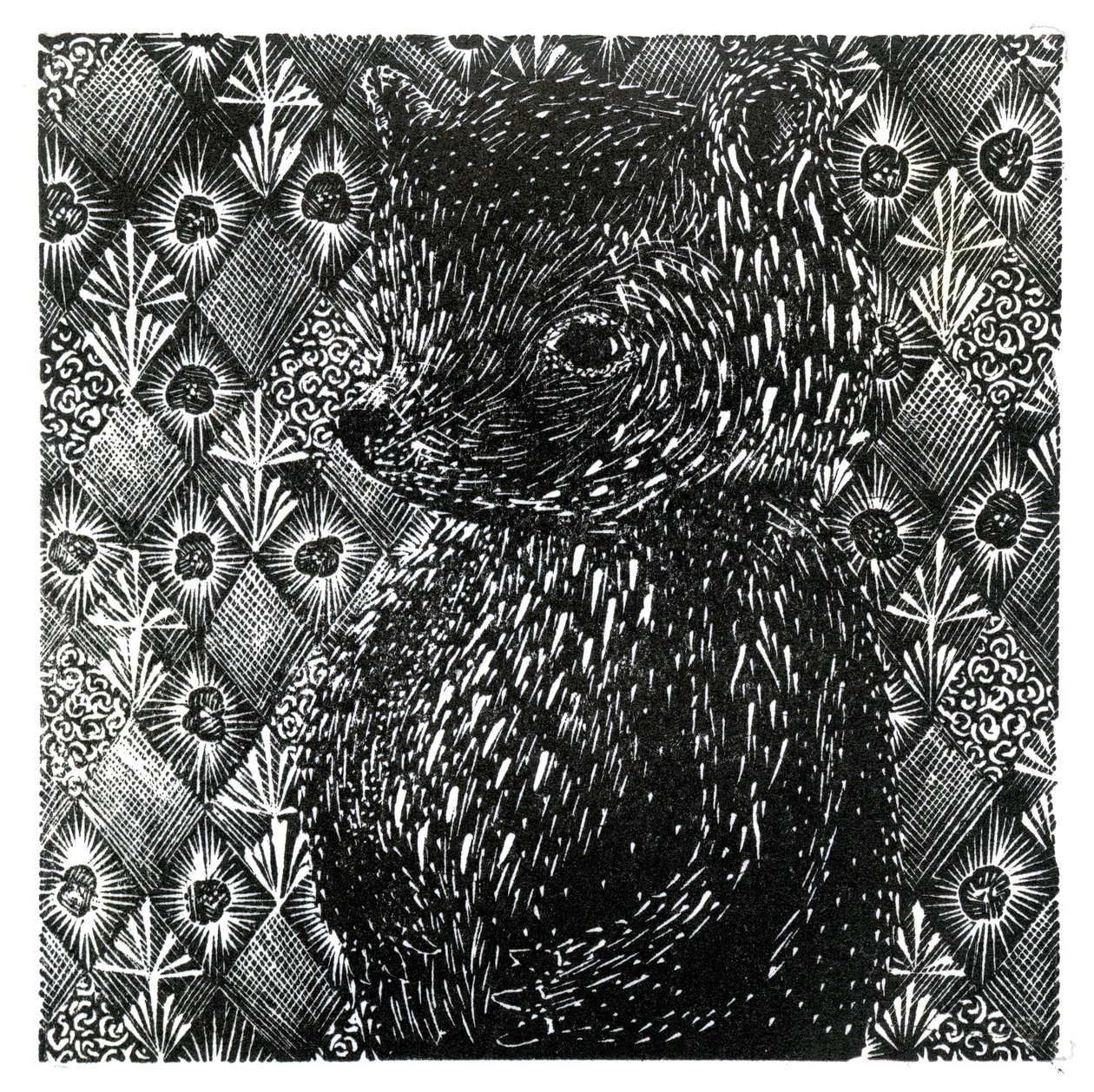 Ursus arctos ssp. domesticus, 2013 (puukaiverrus paperille) tekijältä Bella Larsson