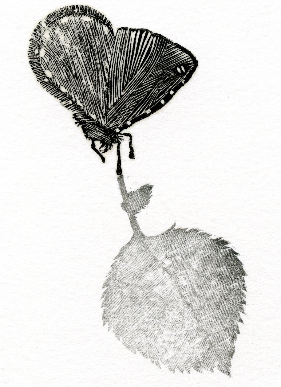 Jännitys, 2014 (puukaiverrus, kollaasi paperille) tekijältä Bella Larsson