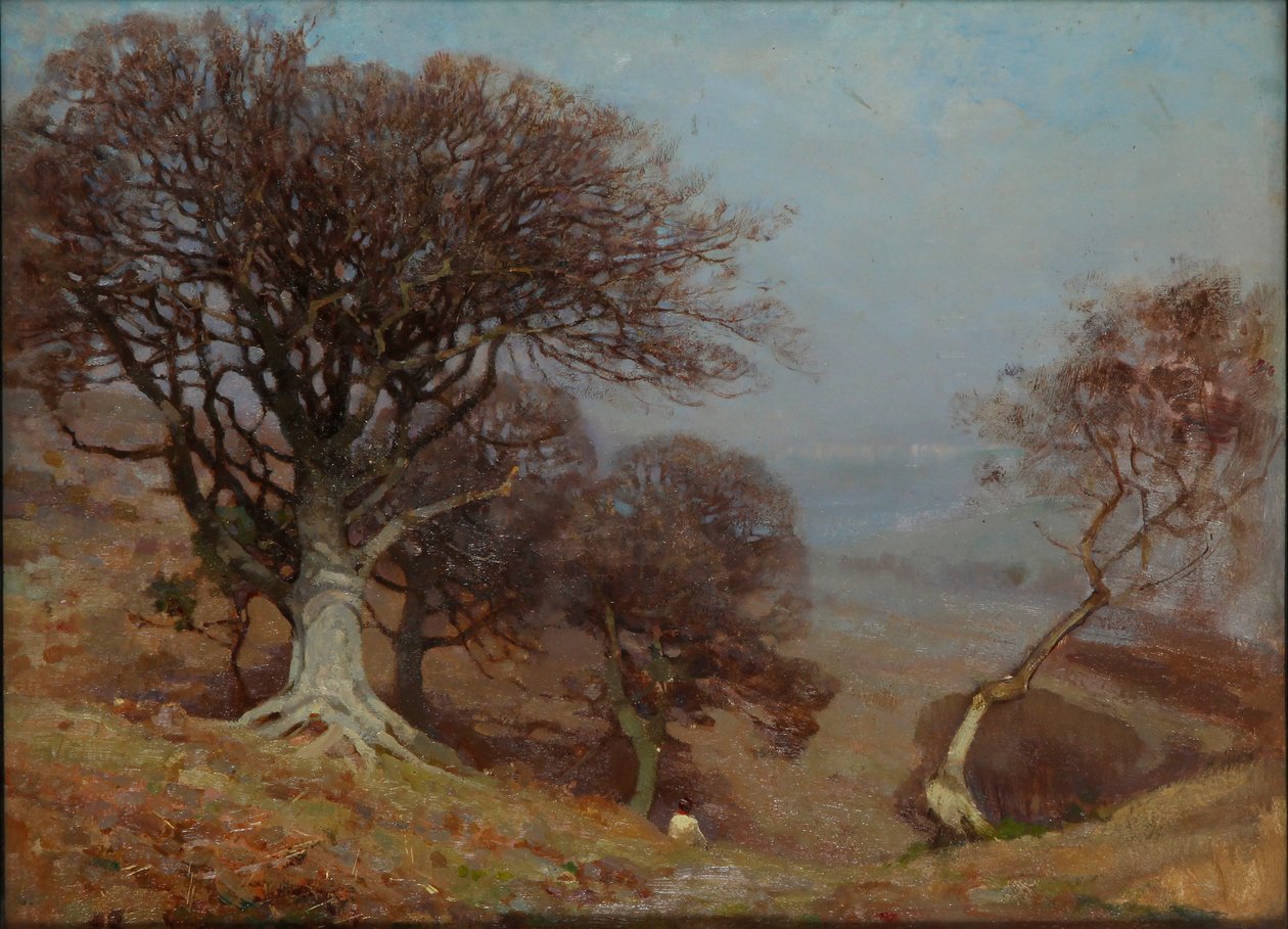 "Pyökkejä Quantocksilla", 1885-1924 tekijältä Benjamin Haughton
