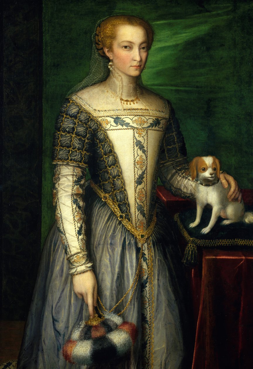 Naisen muotokuva, 1560-luvun loppu. tekijältä Bernardino Campi