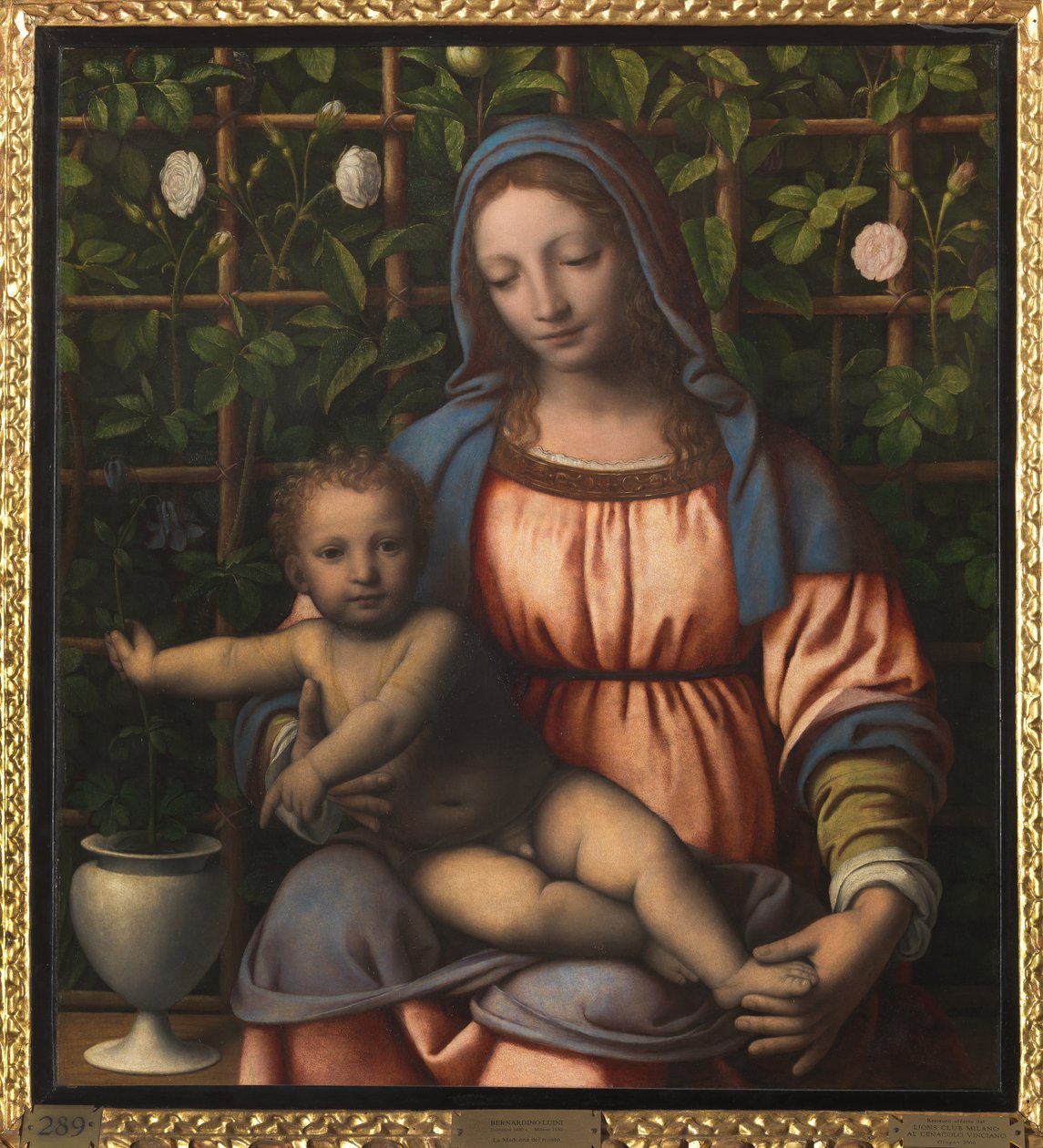 Madonna ja lapsi (Madonna del Roseto) tekijältä Bernardino Luini