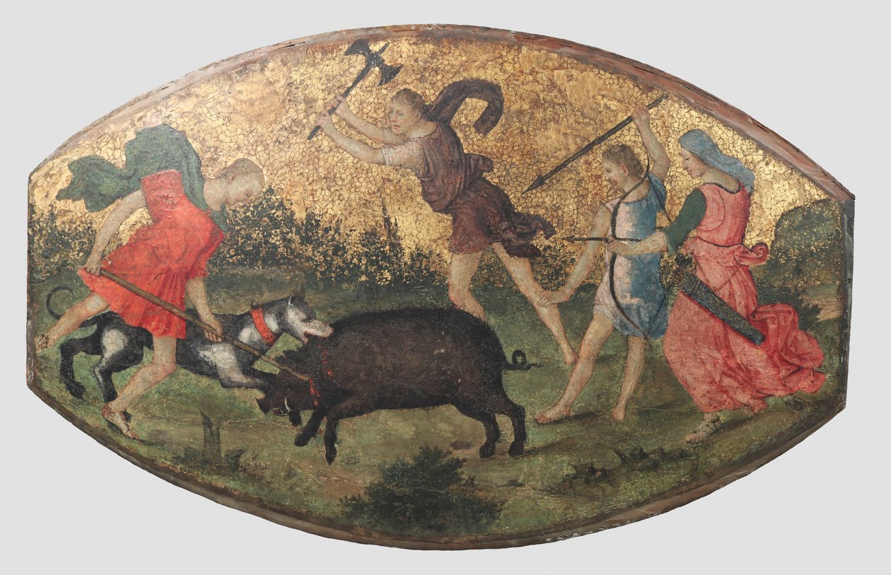 Calydonian villisian metsästys, n. 1509. tekijältä Bernardino Pinturicchio