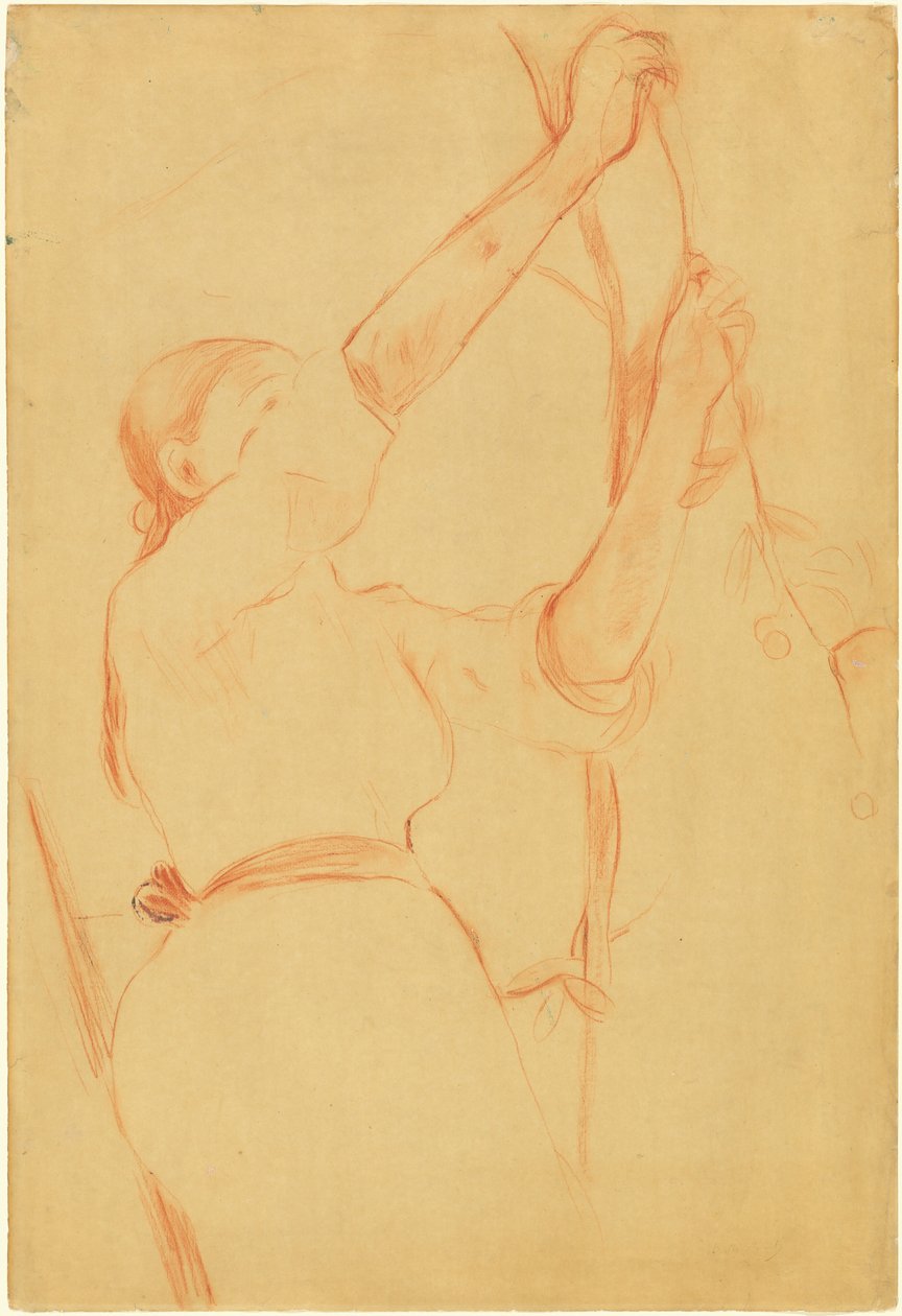 Tyttö poimii kirsikoita tekijältä Berthe Morisot