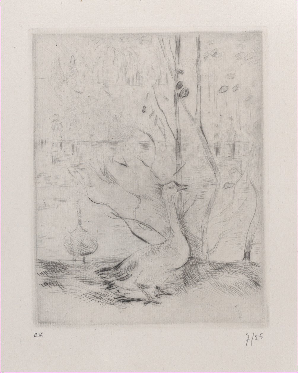 Hanhi, 1889. tekijältä Berthe Morisot