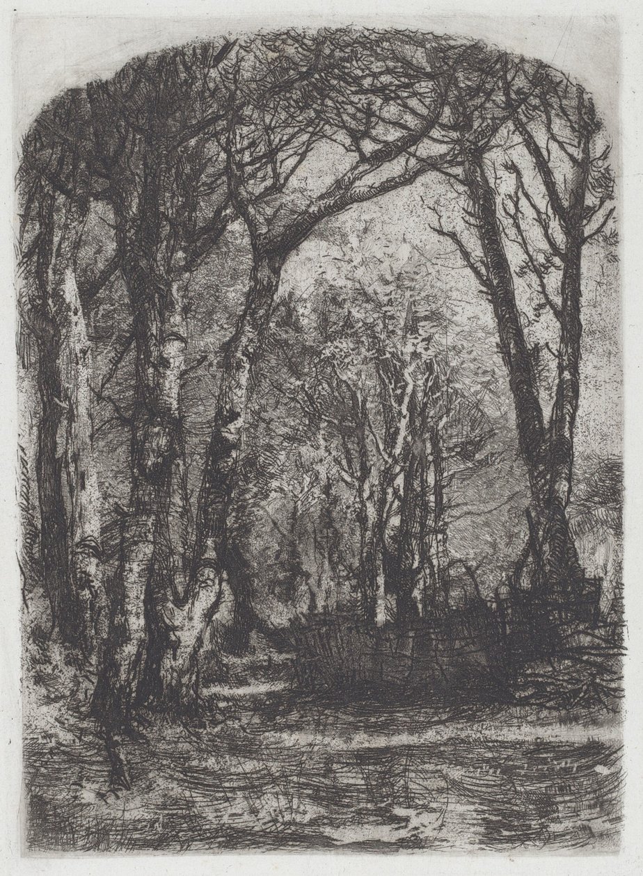 Woods [Bosco], n. 1895. tekijältä Bianchi Mose