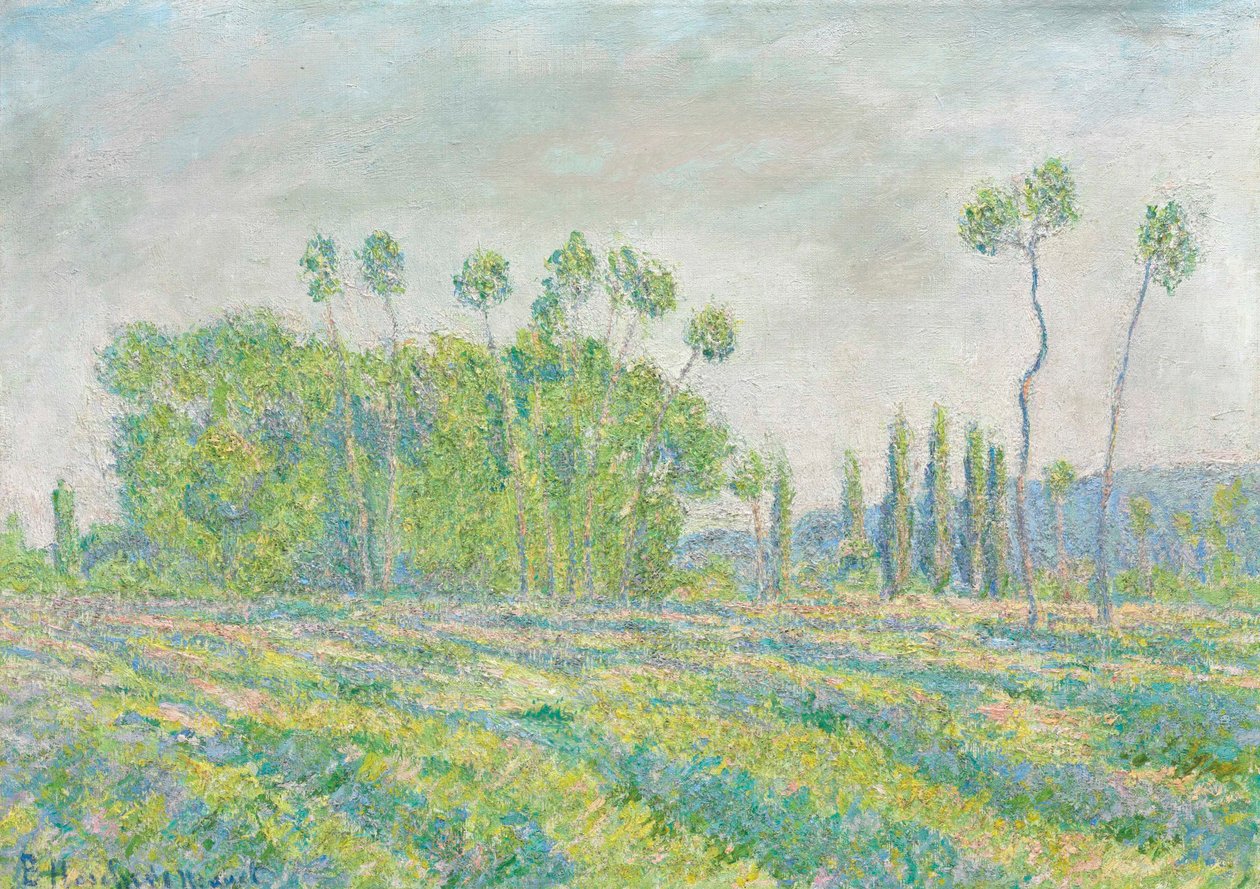 Ranskalainen:  Giverny, Peupliers des Ajoux: Giverny, Peupliers des Ajoux tekijältä Blanche Hoschede Monet
