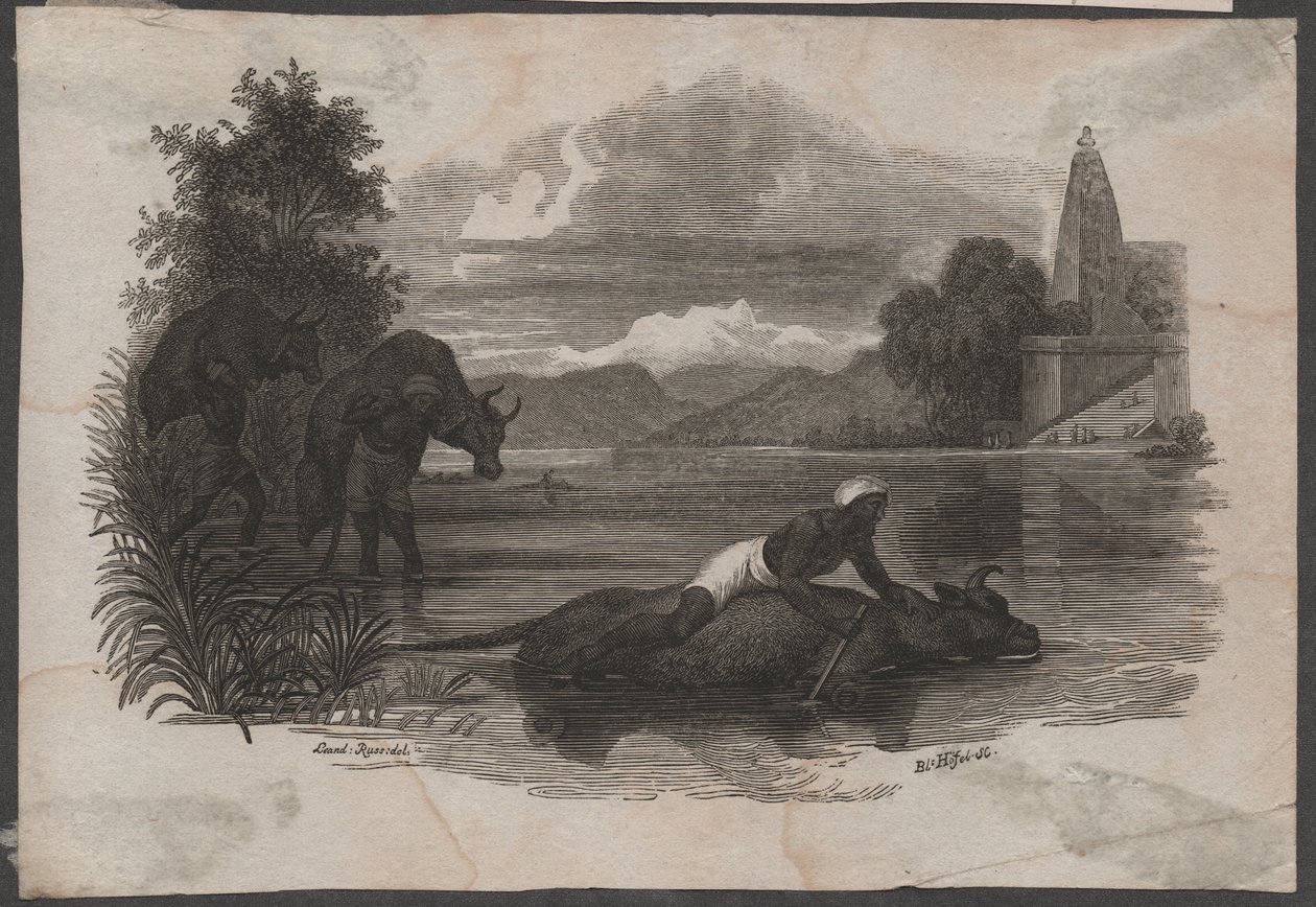 Maanviljelijät kantavat kuollutta karjaa, n. 1850 (kaiverrus). tekijältä Blasius Höfel