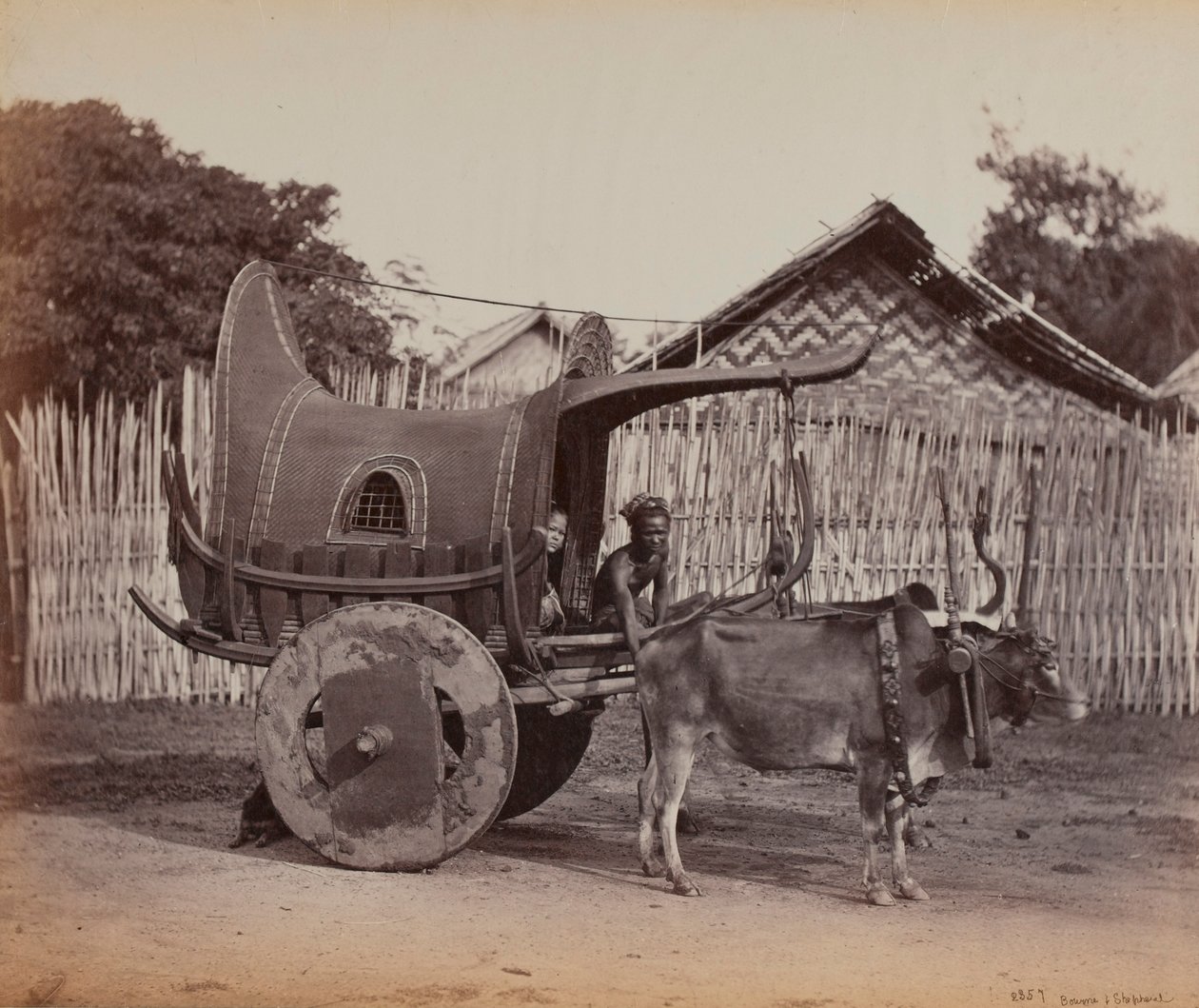 Country Cart, Burma (1886-88) tekijältä British Photographer
