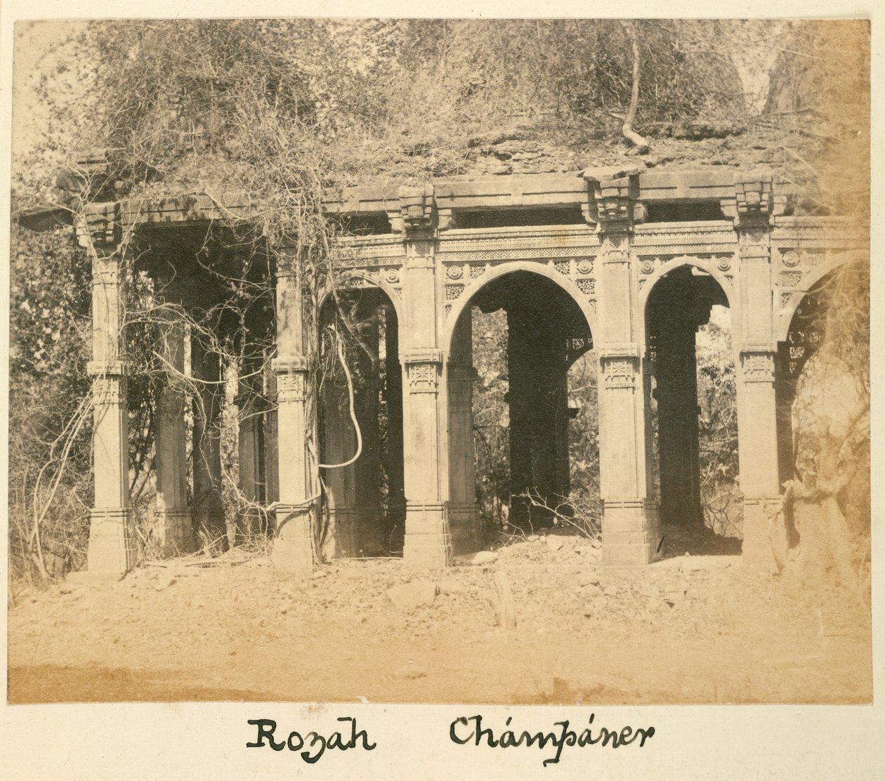 Rozah, Champaner, n. 1875 (m/w valokuva) tekijältä British Photographer