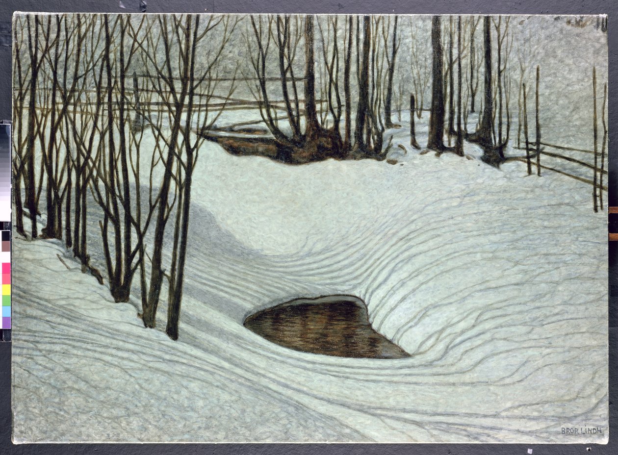 Metsä talvella, noin 1905 tekijältä Bror Lindh