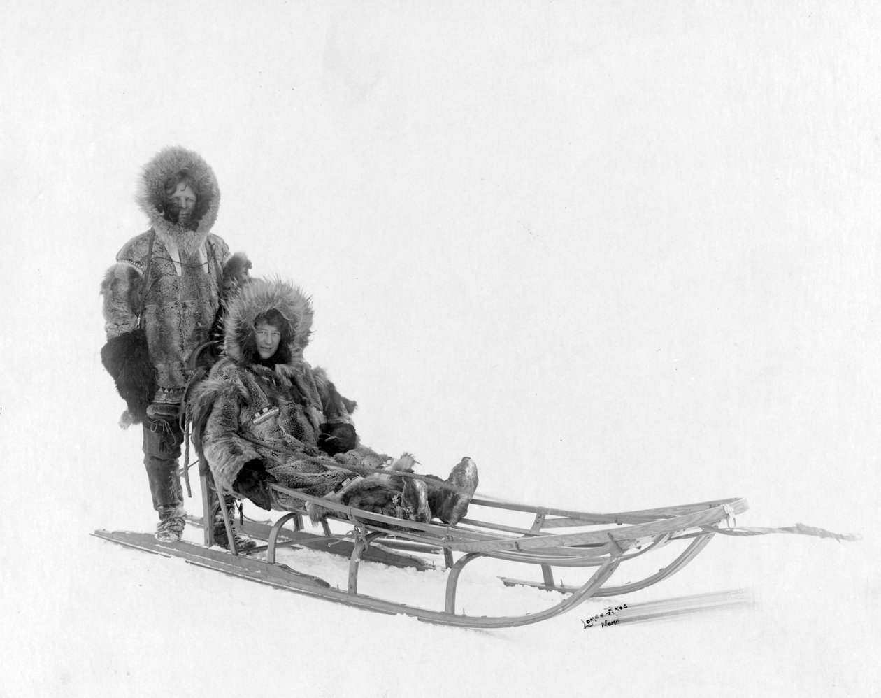 Pari koiravaljakossa, Nome, Alaska tekijältä Brothers Lomen