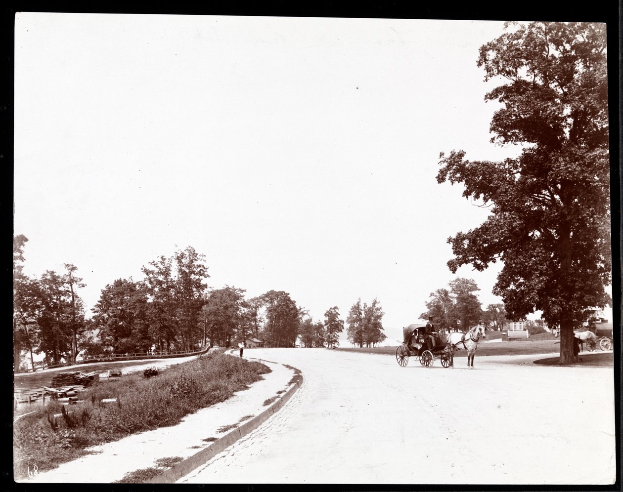 Näkymä hevoskärrystä Riverside Drivella, New Yorkissa, n. 1893 (hopeagelatiiniprintti) tekijältä Byron Company
