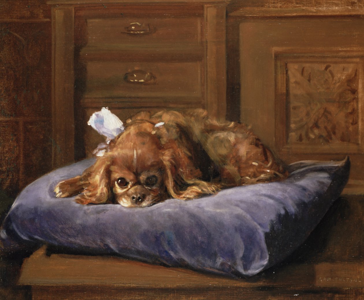 King Charles Spaniel (öljy) tekijältä C. Fulton