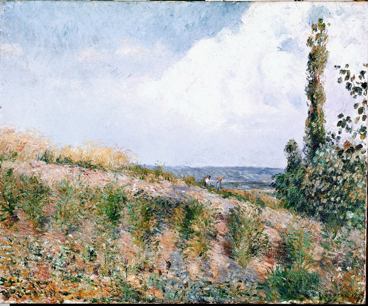 Maisema (öljy kankaalle) tekijältä Camille Jacob Pissarro