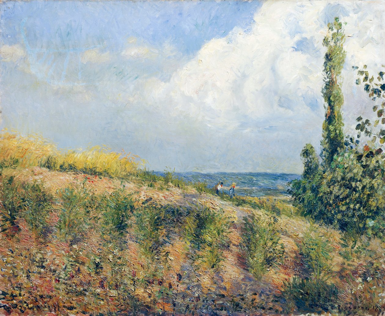 Lähestyvä myrsky, kirjoittanut Camille Pissarro tekijältä Camille Pissarro