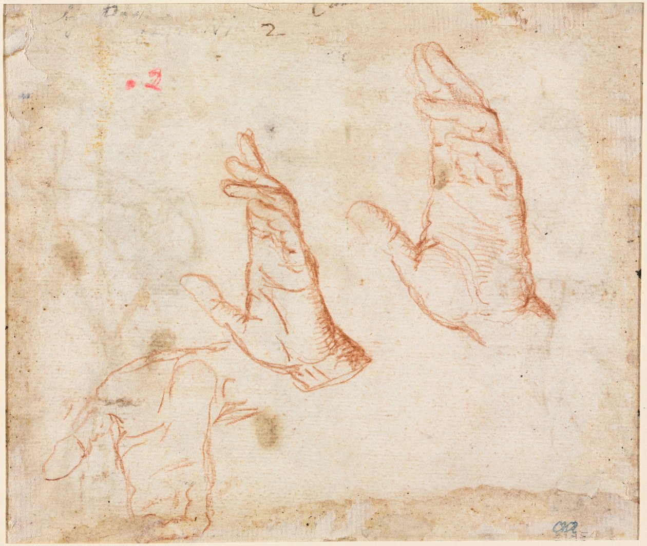 Study of Hands verso, n. 1590. tekijältä Camillo Procaccini