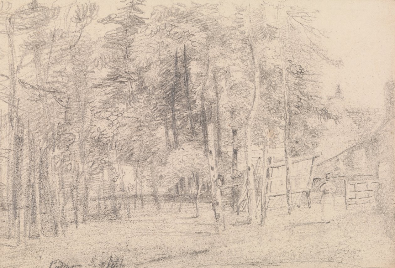 Padmore, Isle of Wight tekijältä Capt. Thomas Hastings