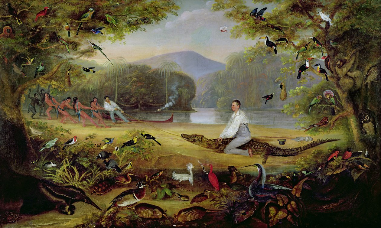 Charles Waterton vangitsemassa caymanin, 1825-26 tekijältä Captain Edward Jones