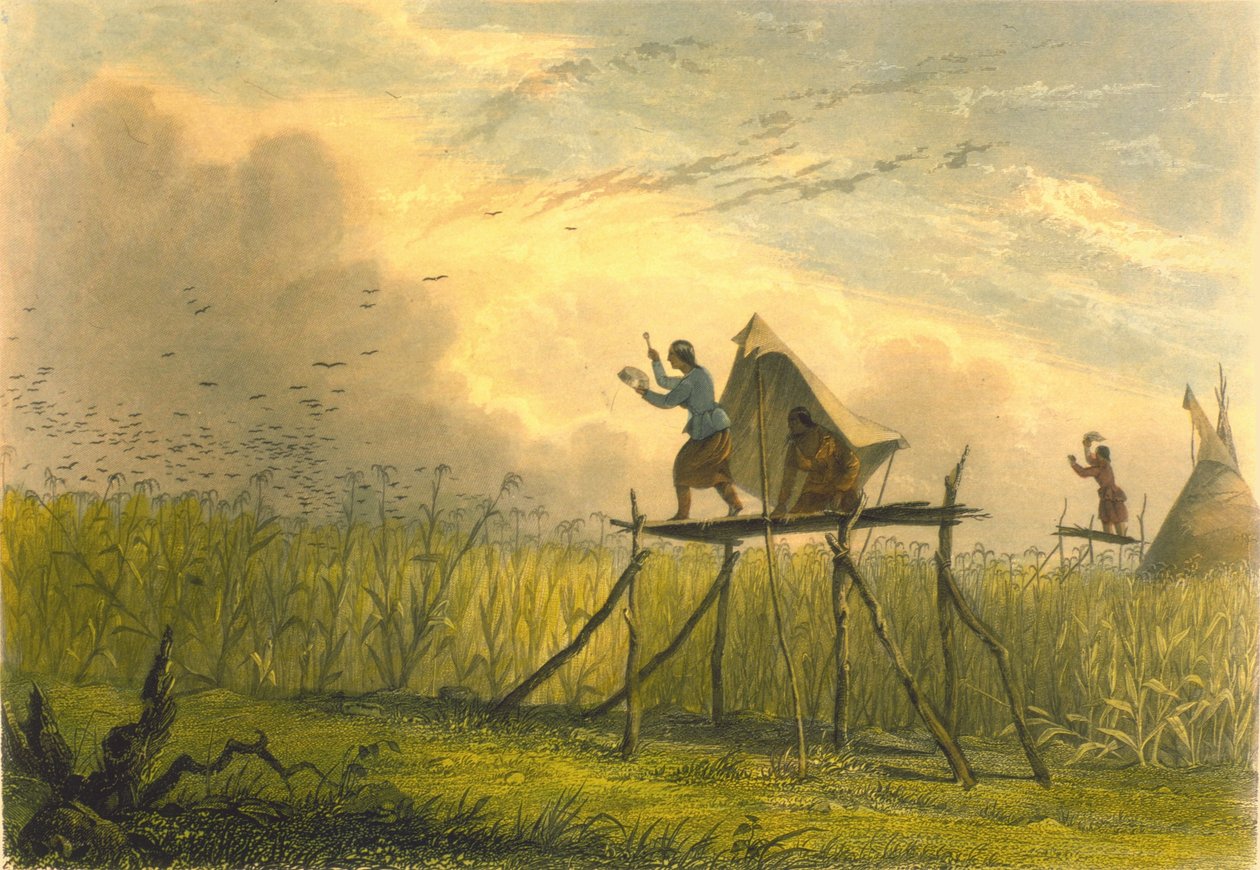 Vartioi maissipeltoja, 1853 tekijältä Captain Seth Eastman