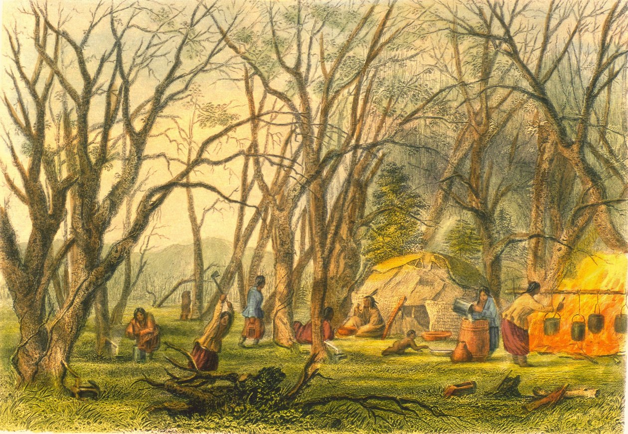Indian Sugar Camp, 1853 tekijältä Captain Seth Eastman