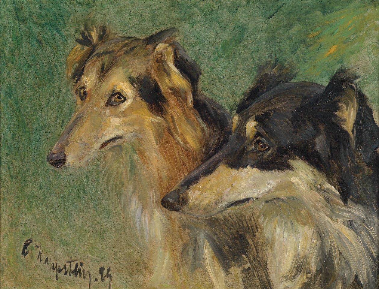 Muotokuva zweier Borzoj Hunde tekijältä Carl Friedrich Kappstein