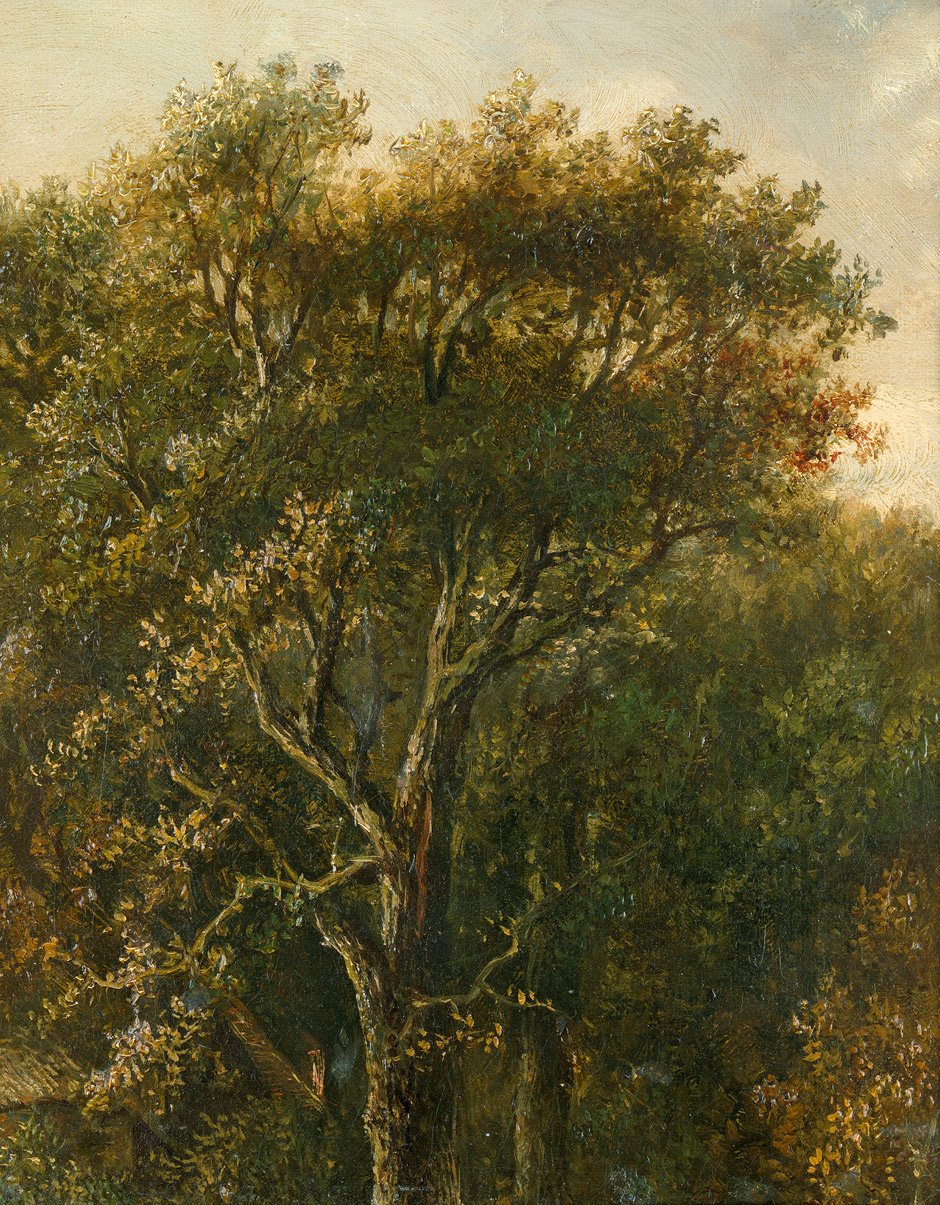 Waldstuck mit Eichenbaum tekijältä Carl Gustav Carus