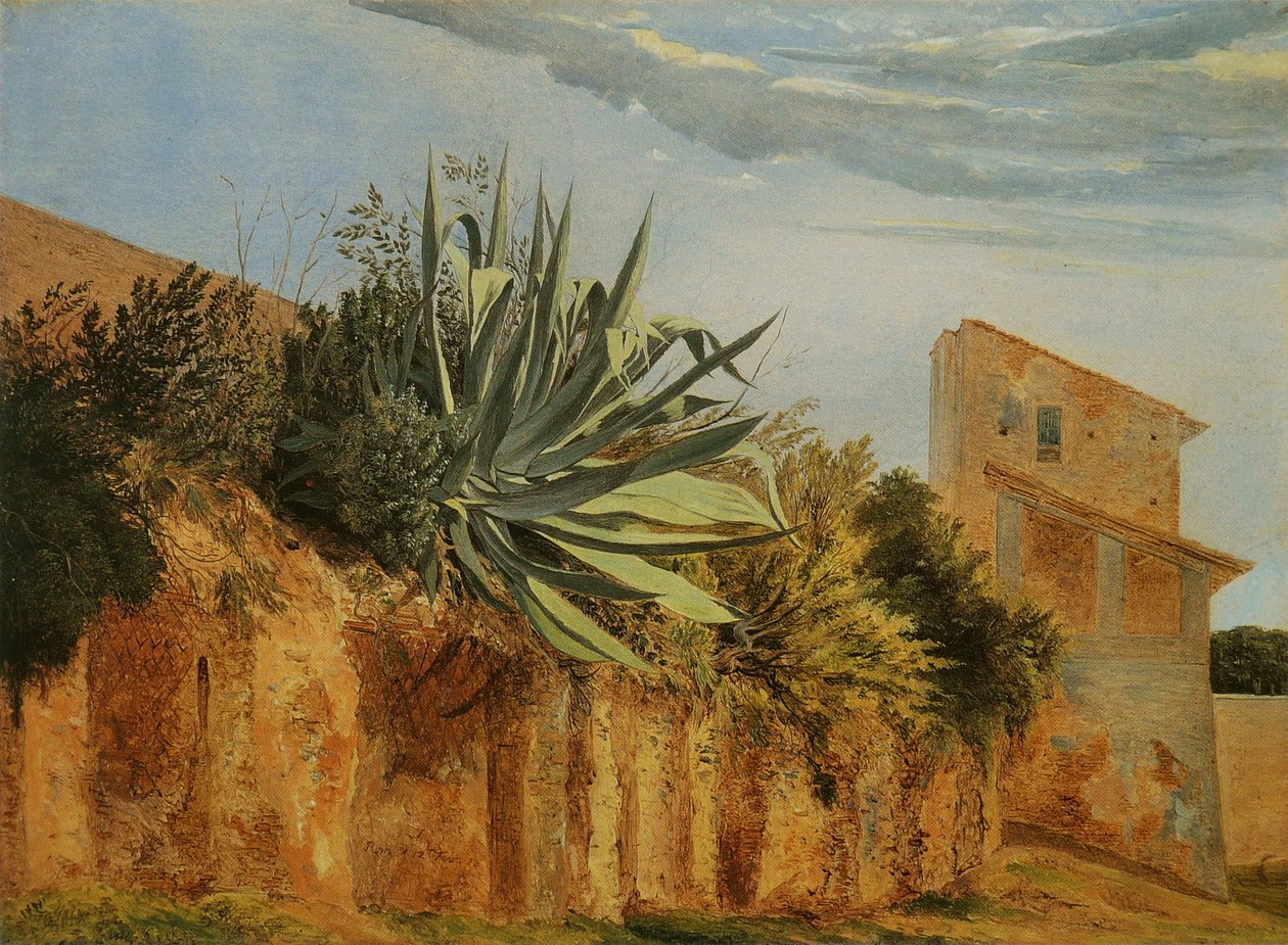 An der Stadtmauer von RomnFrancais: Agave sur un mur de Romen tekijältä Carl Wagner