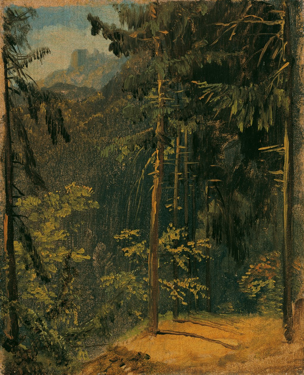 Metsäpolku Harzissa tekijältä Carl Blechen
