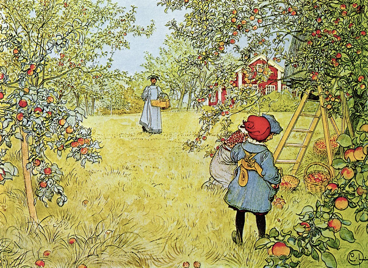 Omenan sato tekijältä Carl Larsson