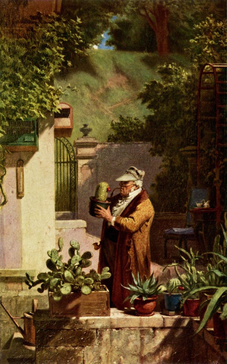 Kaktus tekijältä Carl Spitzweg