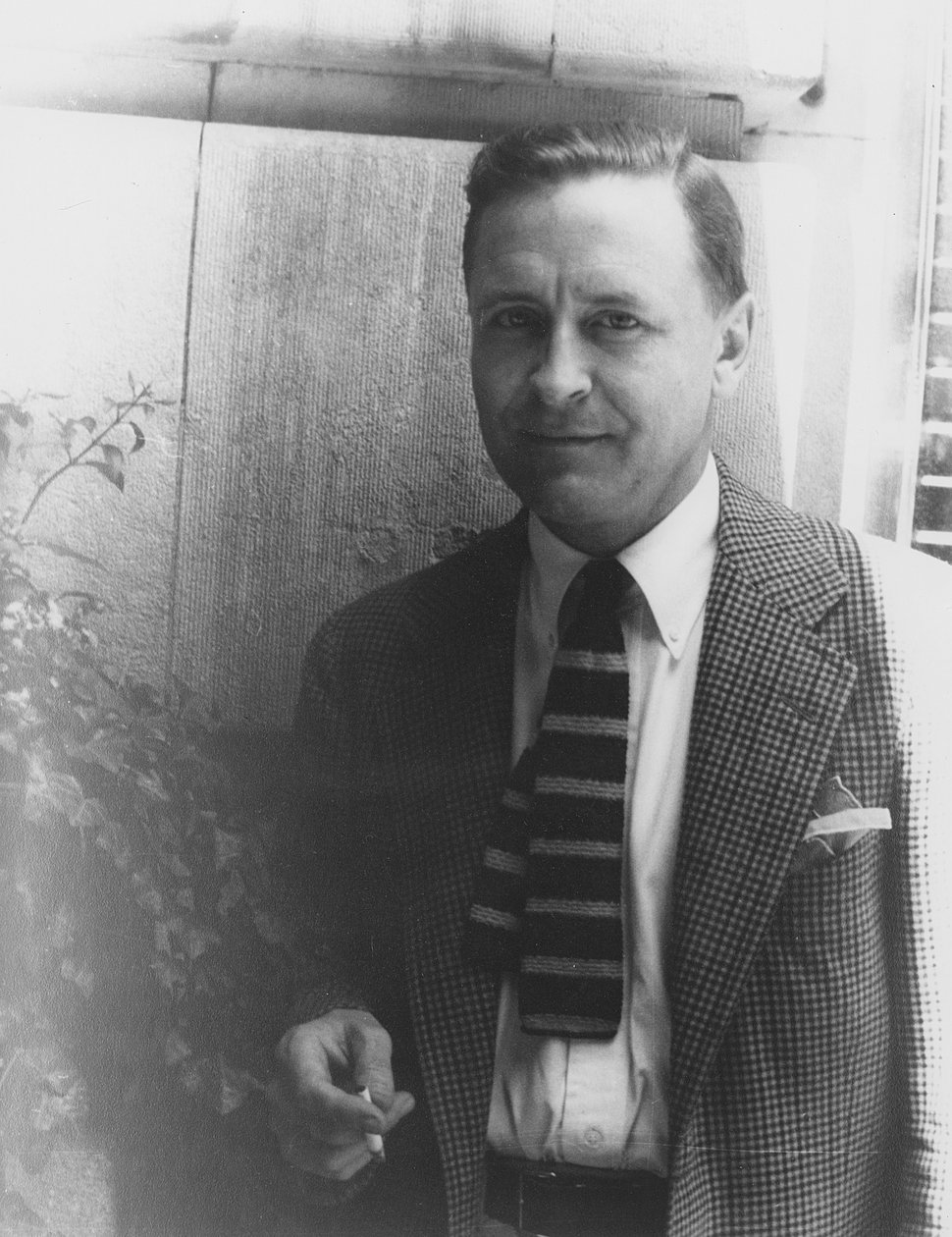 F. Scott Fitzgerald (1896-1940) tekijältä Carl Van Vechten