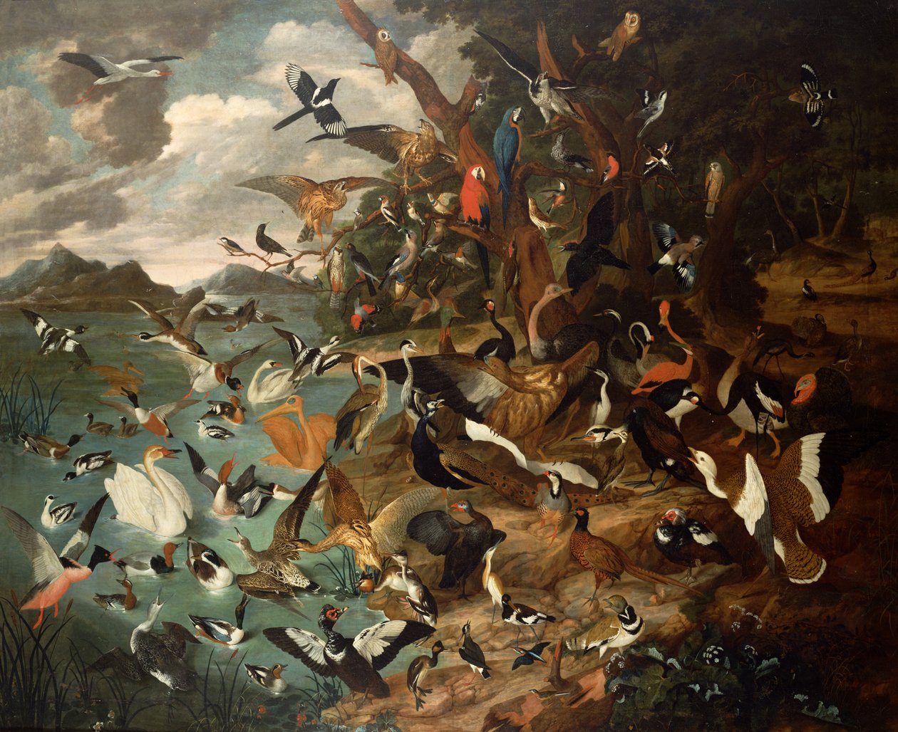 Ang Parlamento ng Birdsfinn tekijältä Carl Wilhelm de Hamilton