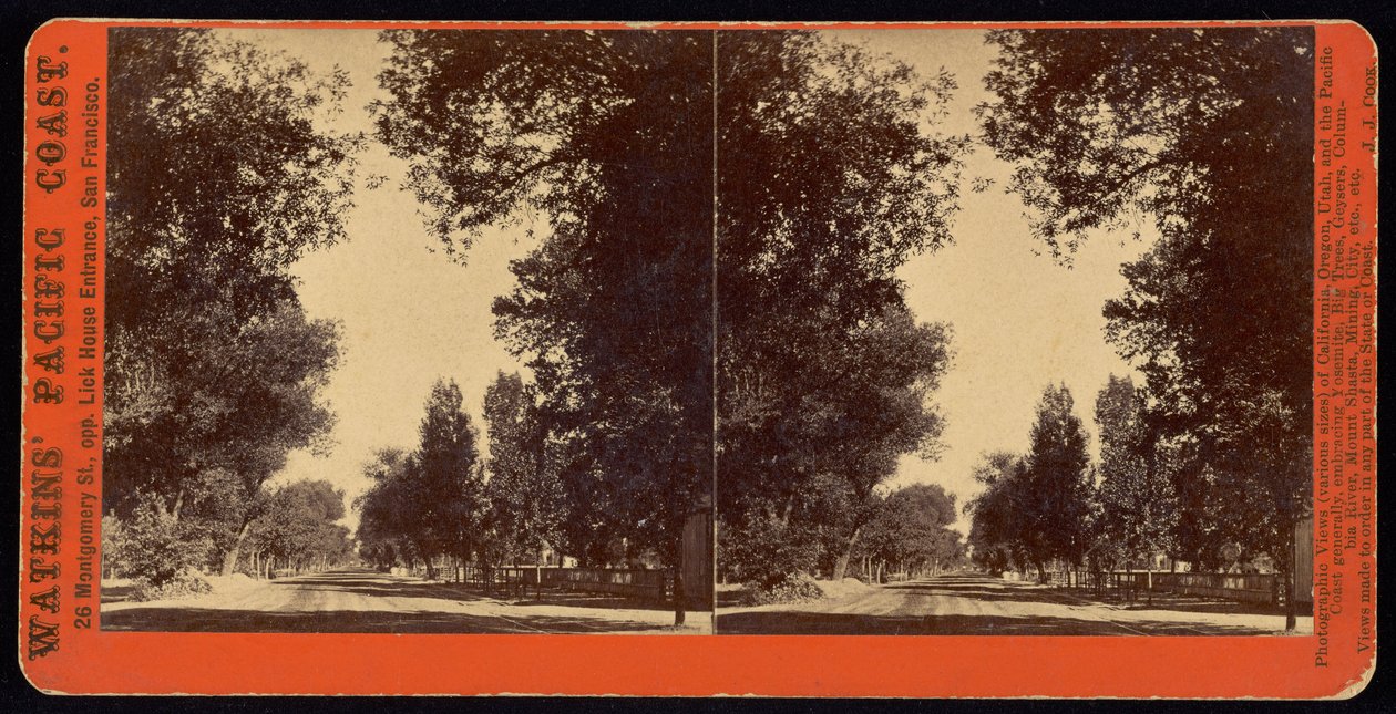 (Puiden reunustama katunäkymä San Gabrielista, Kalifornia) tekijältä Carleton E. Watkins