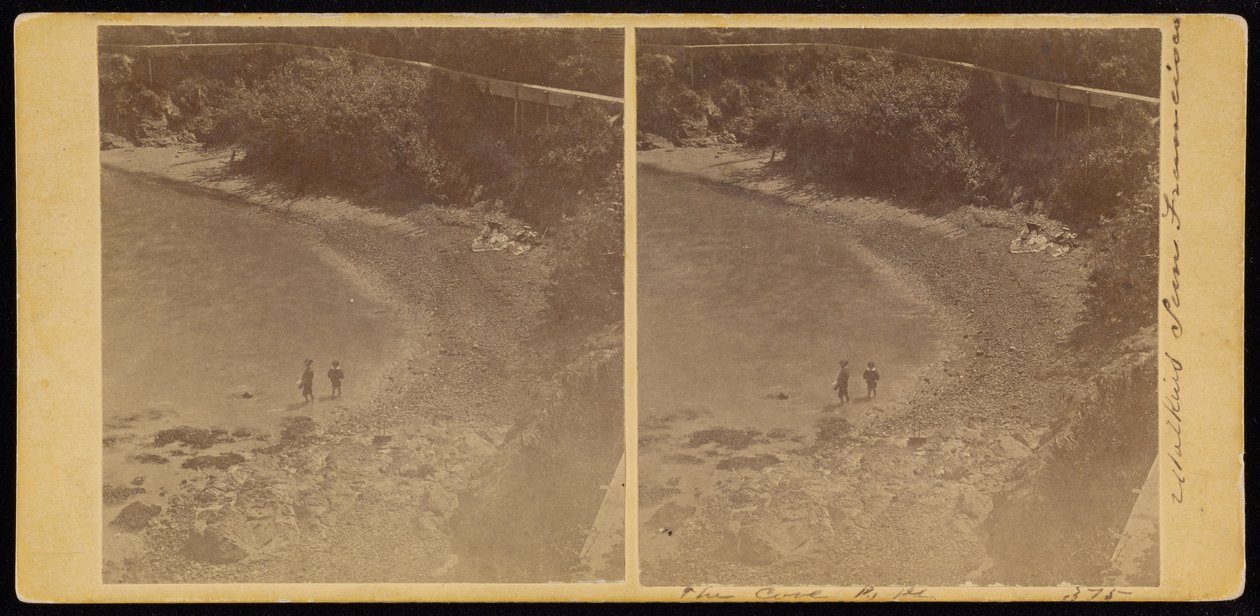 The Cove, S.F. tekijältä Carleton E. Watkins