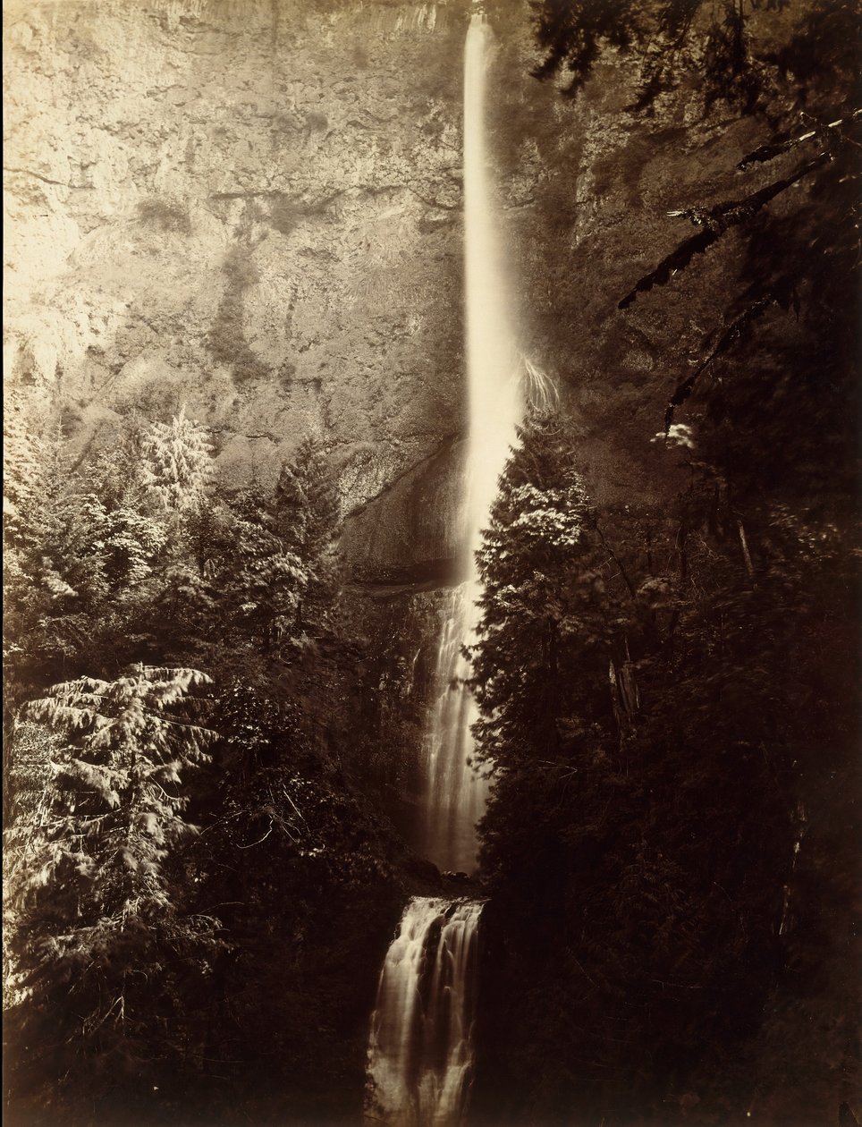 Multnomah Falls Cascade, Columbia River, 1867. tekijältä Carleton Emmons Watkins