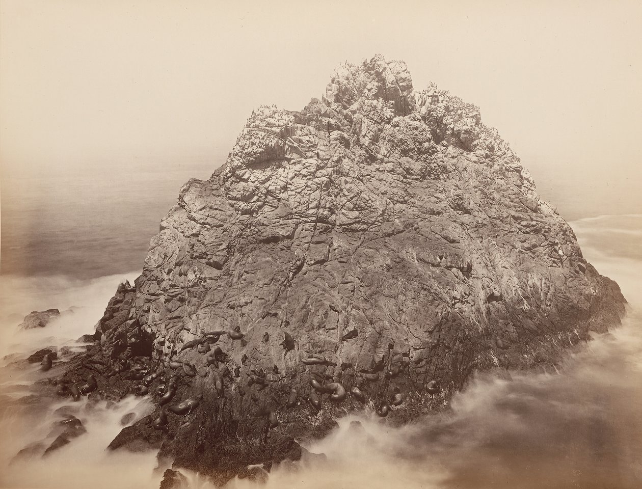 Sugar Loaf Islands, Farallons, 1868-69. tekijältä Carleton Emmons Watkins