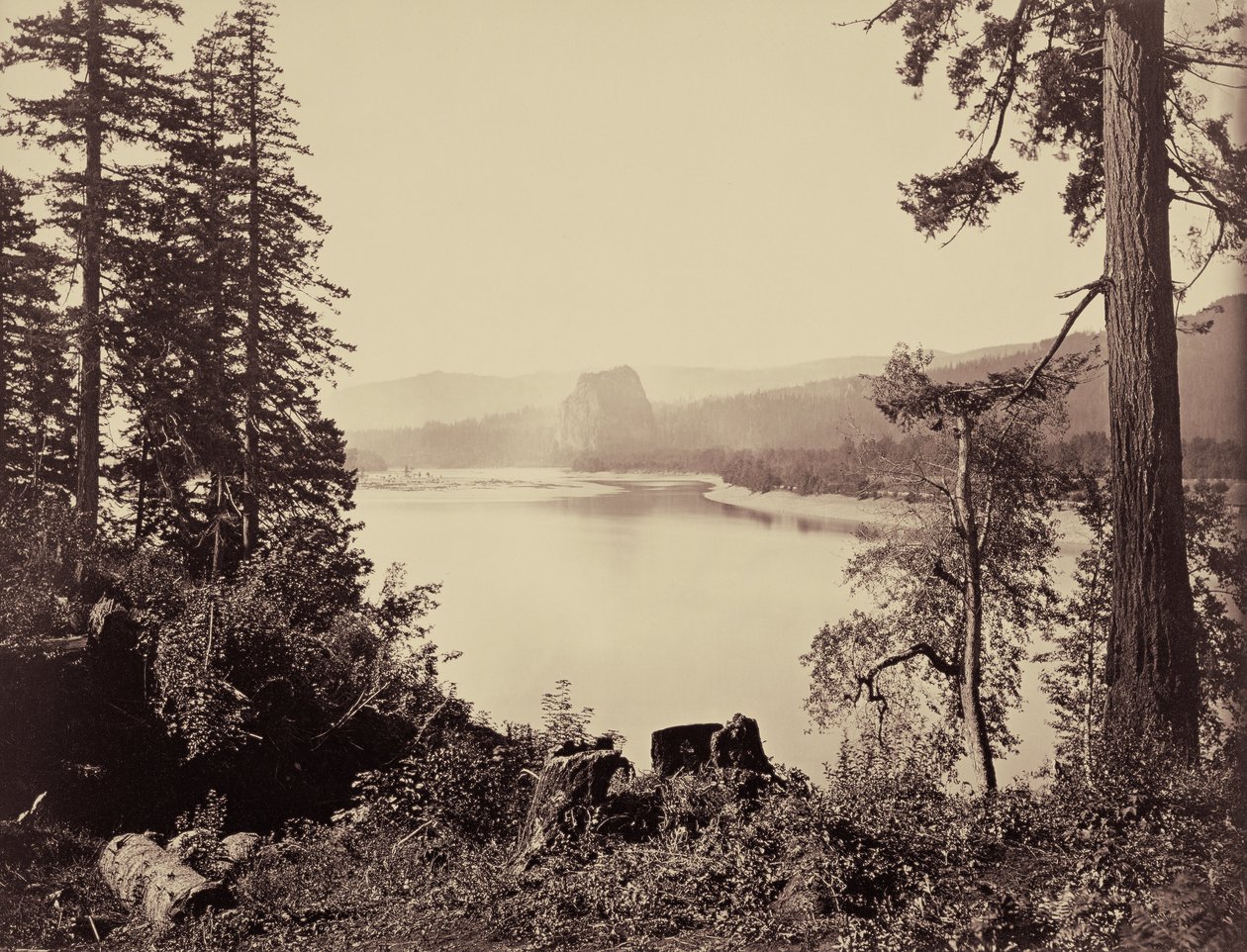 Castle Rock, Columbia -joki tekijältä Carleton Watkins