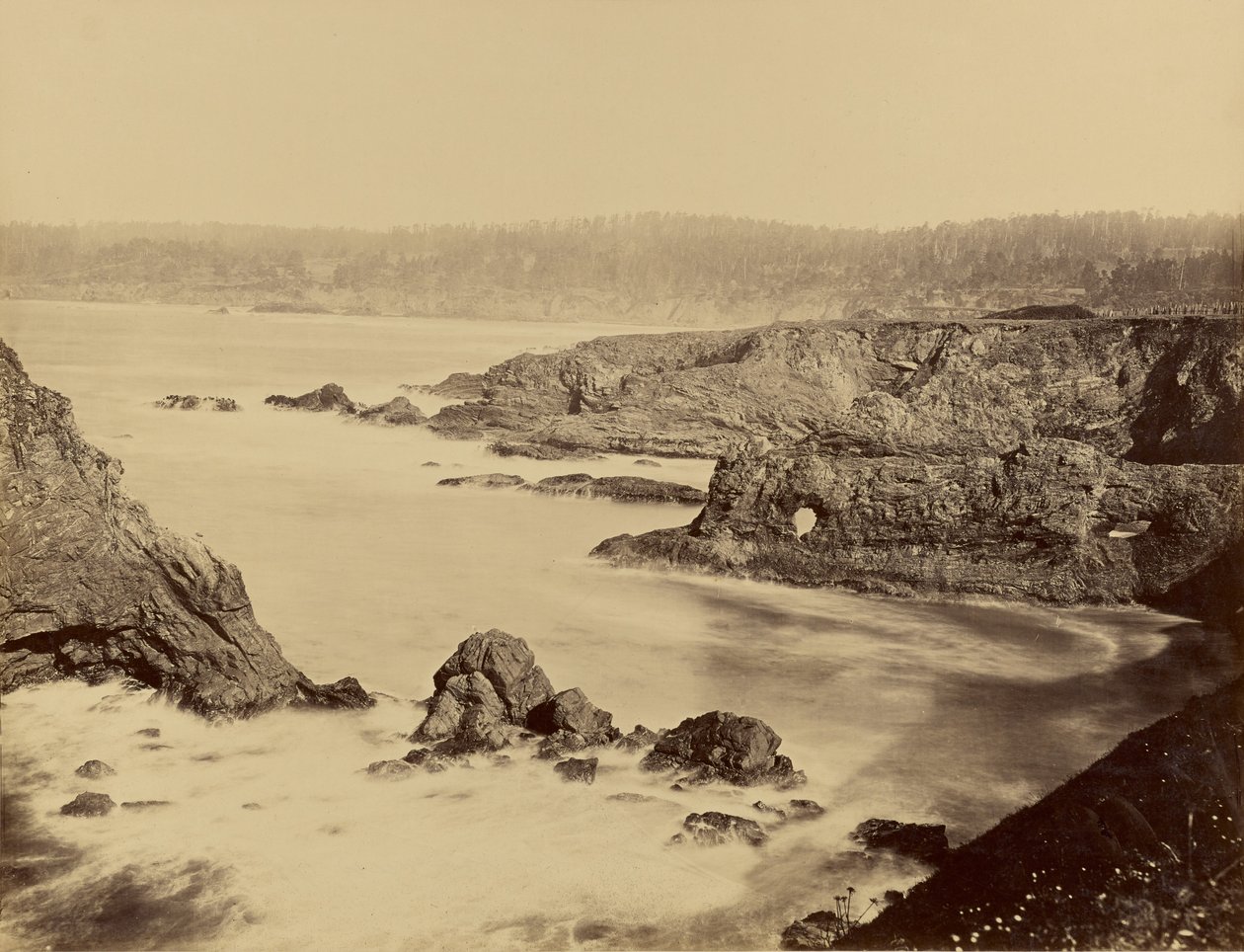 [Mendocinon rannikkonäkymä] tekijältä Carleton Watkins